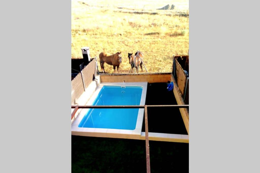 La Espiga De La Mata Βίλα Σεγκόβια Εξωτερικό φωτογραφία